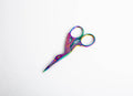Bird Scissors