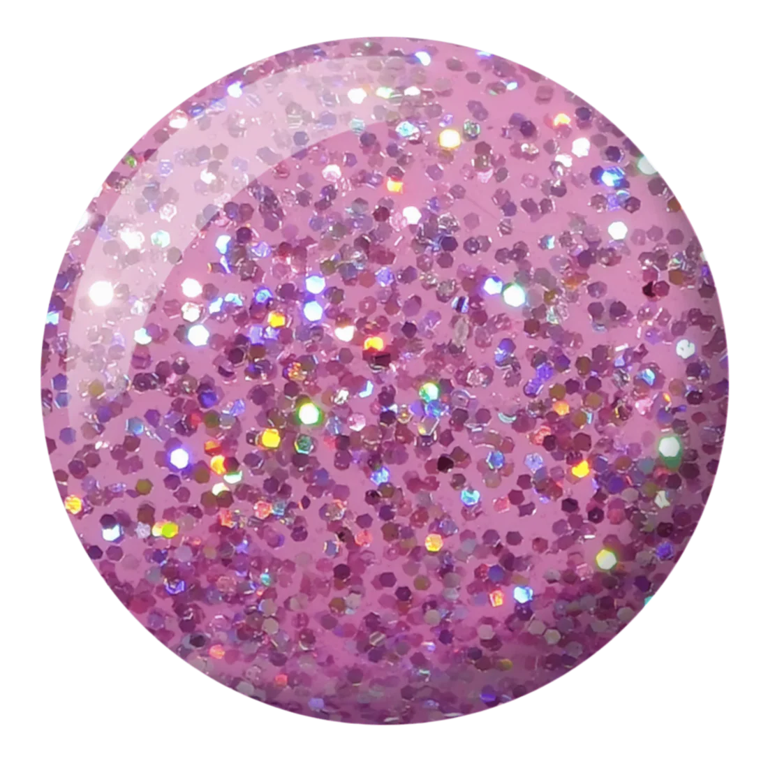 Queen Conch DIVA #008