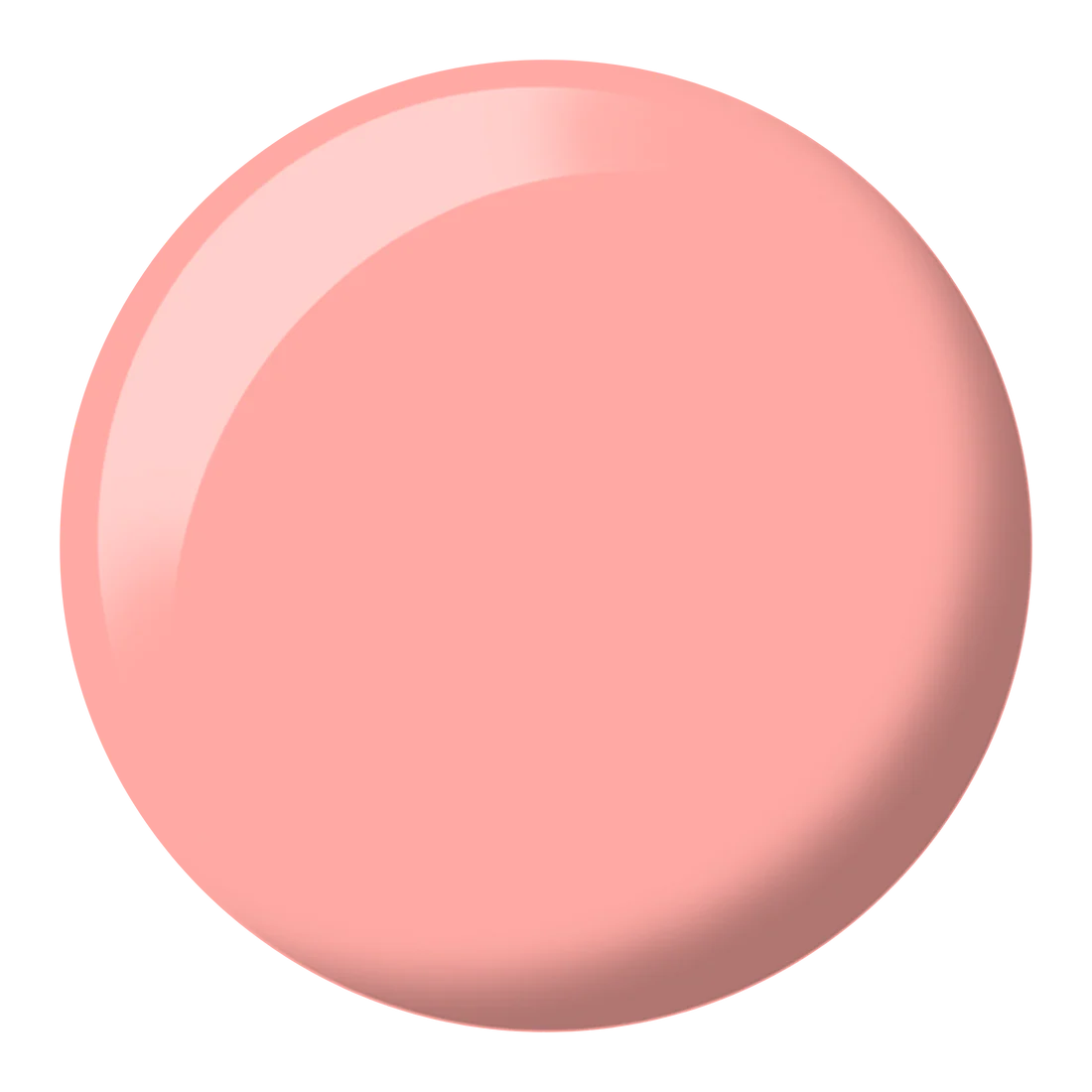 Starfish Chai DIVA #049