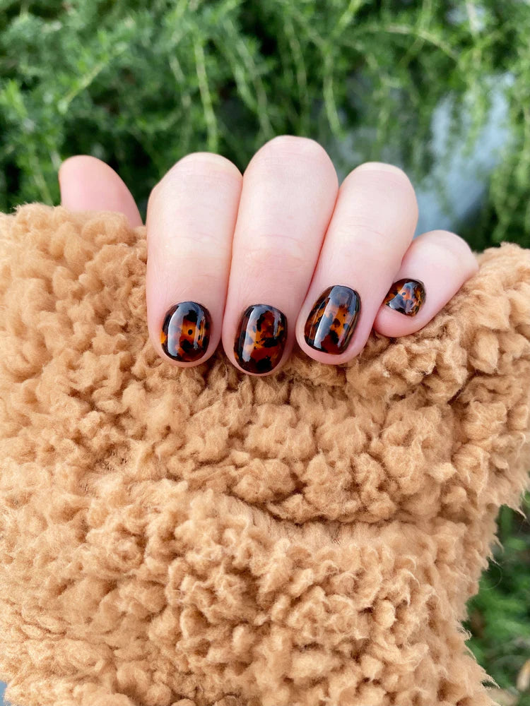 Tortoise Shell Color Gel Design Kit