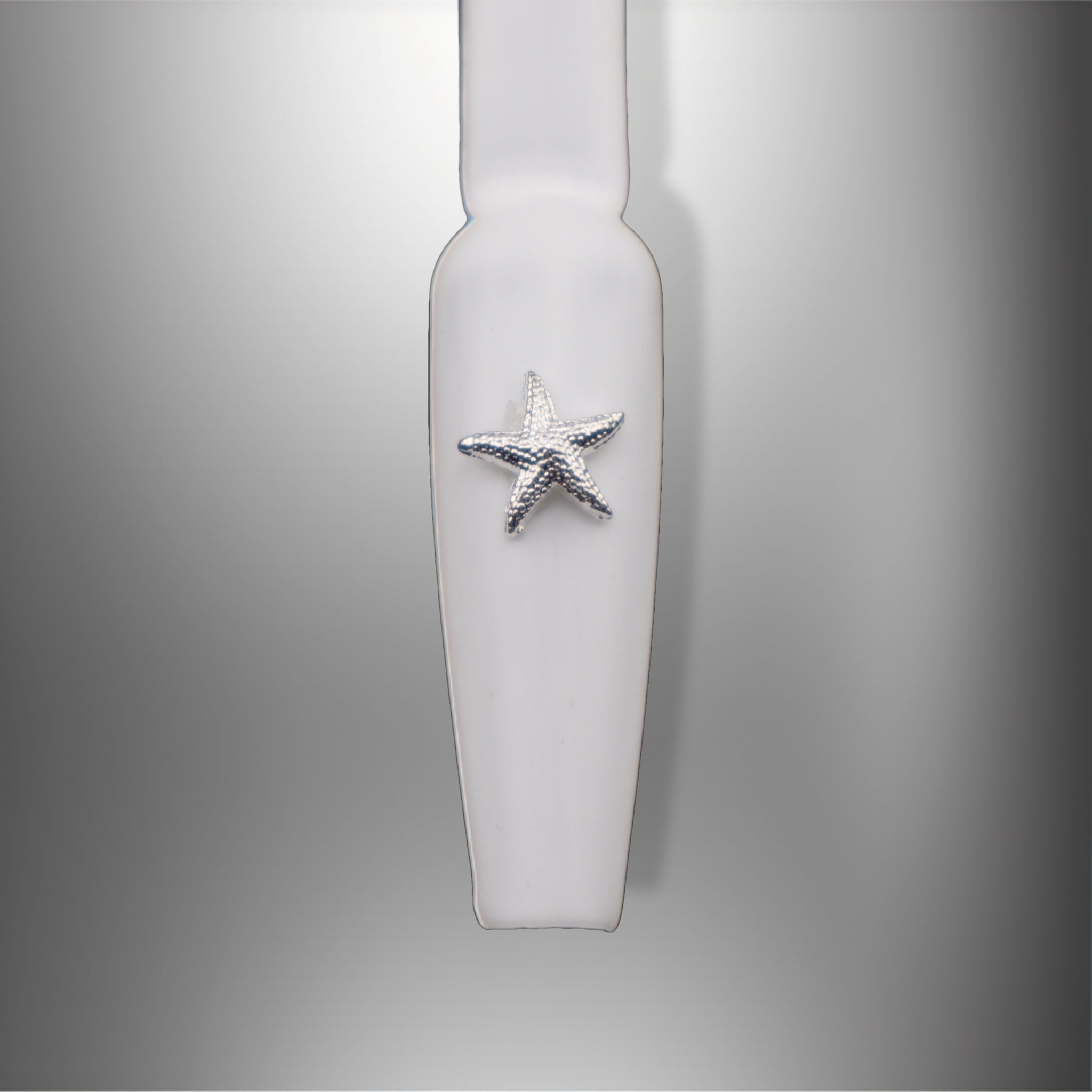Silver Sea Star 4pc