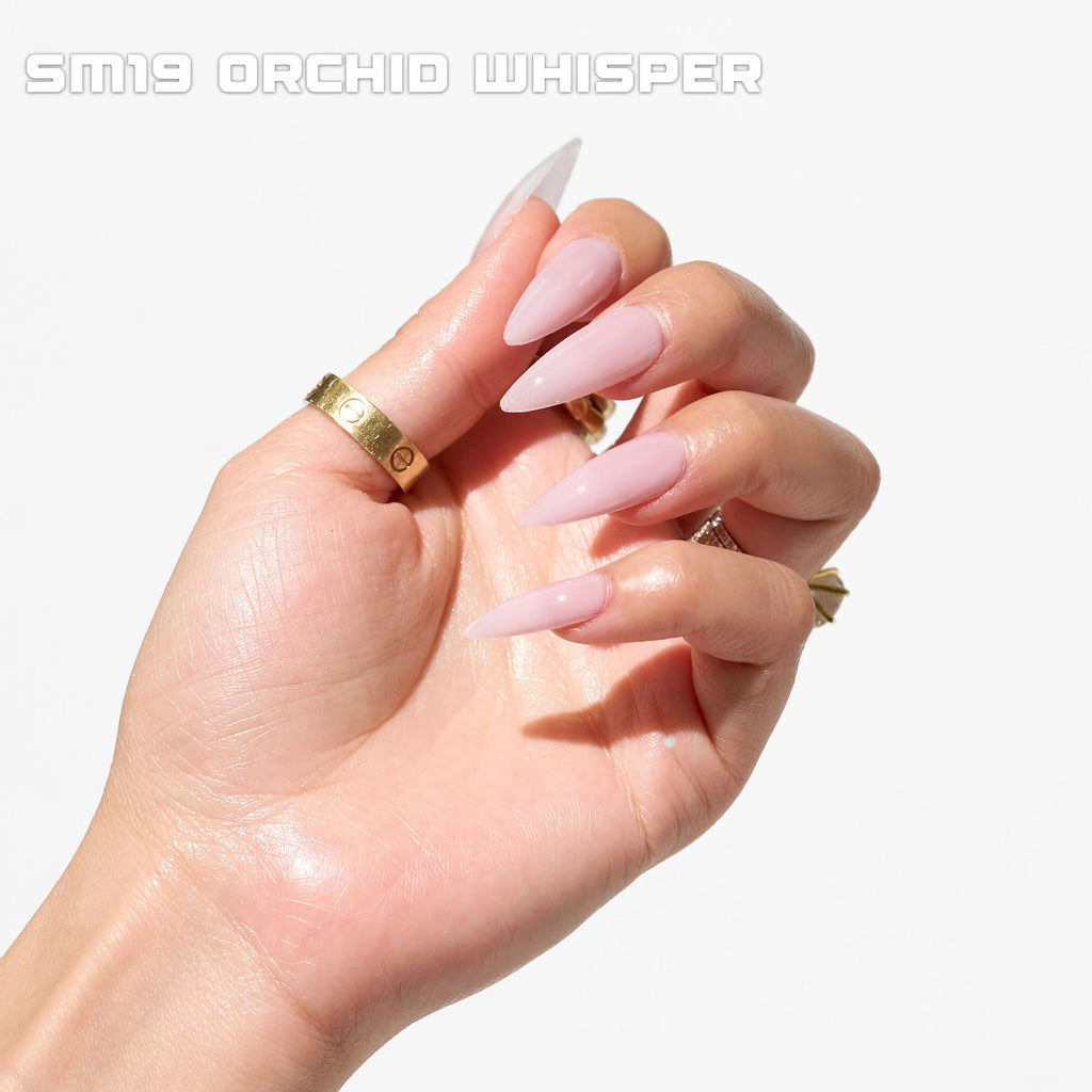 SM19 ORCHID WHISPER