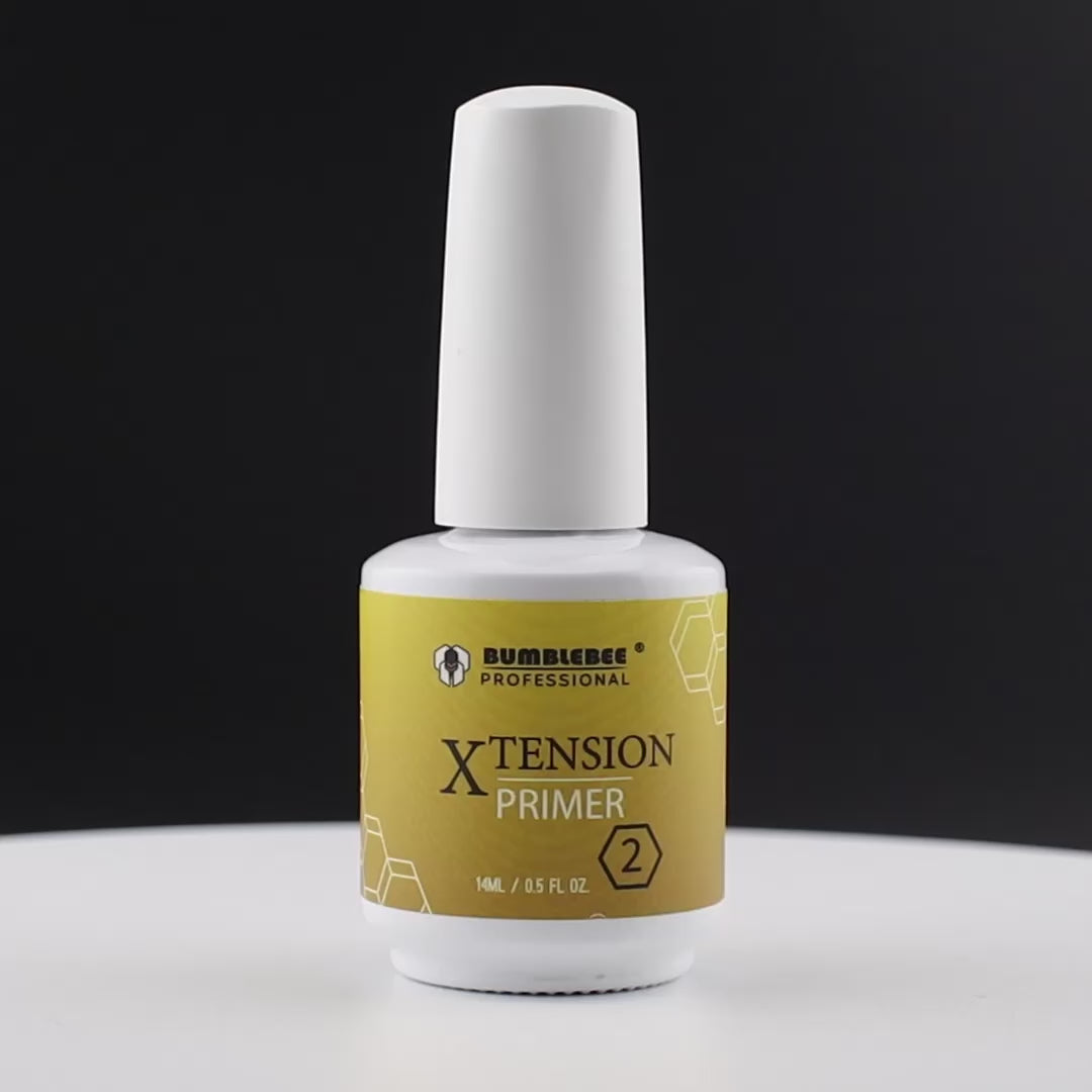 XTENSION PRIMER 2